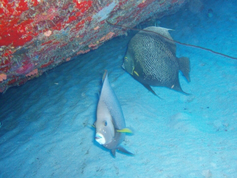 Seminar on Virgin Islands 2008